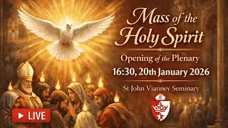 Mass of the Holy Spirit 2026: Opening Mass of the SACBC Plenary Session