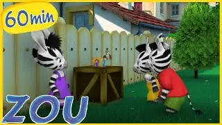 Zou en de verrassingsdoos 🦓 60 min COMPILATIE 🗳️ kinderen cartoon in het Nederlands