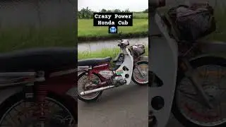 Crazy Power Honda Cub #viral #automotive #shorts