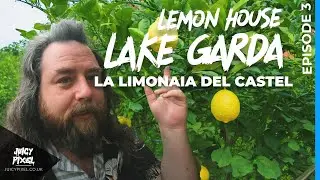 Exploring Limonaia del Castel | Hidden Lemon House by Lake Garda