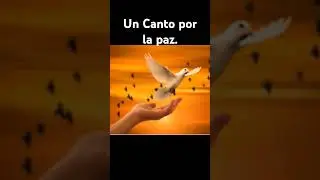 La paz es un derecho inalienable de todo ser humano. #nomasguerra #vida #paz #reflexion #podcast