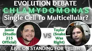 Chlamydomonas: Single cell to Multi Cell? | Jamie (Studio 215 Official) vs. Taylor (Snake Was Right)