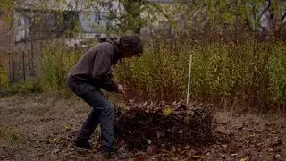 Help de dieren de winter door met ... bladeren! | Wild van Dieren | VTM