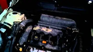 Mini Cooper S timing chain rattle