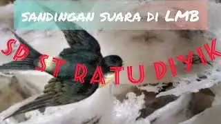 SP ST RATU PIYIK