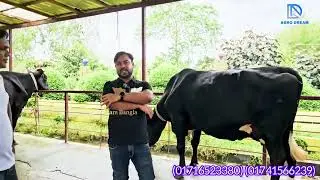 ভাইয়ের এই কথাগুলো শুনে আমার চিন্তাধারা এবং আমার জীবনের মোর পরিবর্তন হয়ে গেছে।ধন্যবাদ রুবেল ভাই
