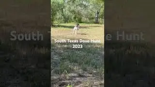 So. Tex Dove Hunt 2023
