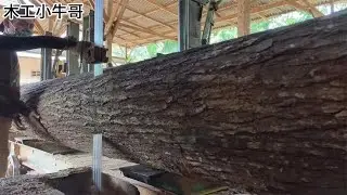 锯木厂锯割原木加工木板的详细过程