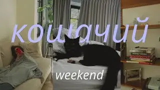 Живу в роскошном доме бесплатно 🐈🏠 TRUSTED  HOUSE SITTERS: мой опыт