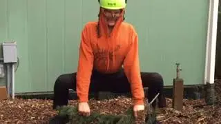 ARBORIST = ATHLETE (Tree People Yoga)