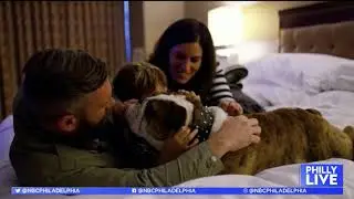 Dog Friendly Fun in Montgomery County | NBC10's Philly Live