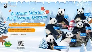 Broadcast: A Warm Winter At Diequan Garden | iPanda