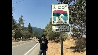 Fear and Loathing on the Bigfoot Highway - Willow Creek, CA