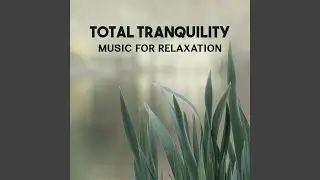 Total Tranquility (Music for Relaxation)