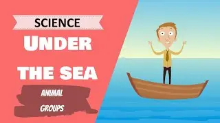 Under the Sea - Animal Groups (Primary School Science Lesson)