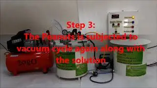 vacuum pressure impregnation of peanuts full automatic