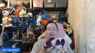 GOODWILL all the Boyd's bears! #unboxing