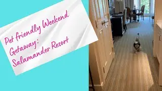 Salamander Resort: Pet Friendly Weekend Getaway