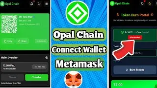 Opal Chain Connect Wallet // Opal Chain Connect Wallet Metamask // Opal Chain // HTK Gamer
