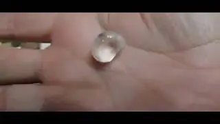 Cape May Diamonds!