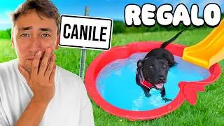 Ho regalato la Piscina per Cani al Canile 🐶grazie a voi..