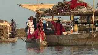 Paradise lost: How toxic water destroyed Pakistan's largest lake