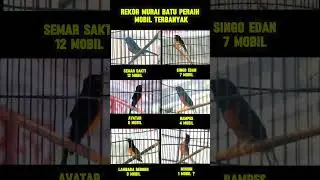 Rekor Murai Batu Peraih Mobil terbanyak #muraibatu #avatar #rampes #minion #semarsakti #singoedan