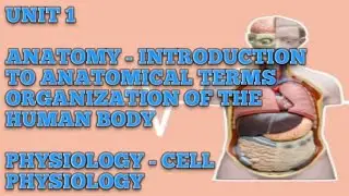 हिन्दी में || Unit 1 || Introduction || Anatomy Physiology || B.Sc. Nursing