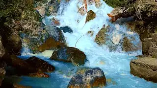 Calming Babbling River + Birds Sounds (10 hours white noise)