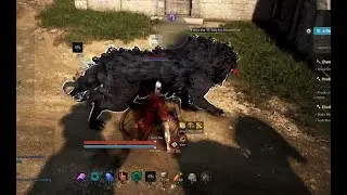 BDO│TAMER CLASS - How to MOUNT Your Companion Heilang - Guide 2024