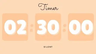 🍊 2 Hours 30 Minutes Silent Timer with Cute Ending Alarm | Pastel Orange Timer