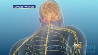 Drug Offers MS Patients A Second Chance