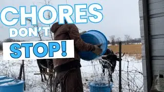 ❄️Frozen Ground, Relentless Chores: Winter Storm Life on a Regenerative Farm