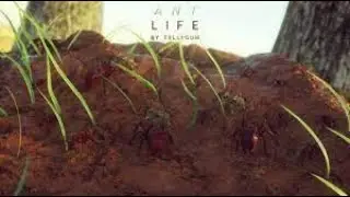 Become and ant and protect your queen (HomKod Roblox Ant Life Gameplay)