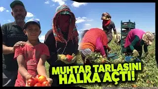 Muhtar, Tarlasını Halka Açtı Hem Üretiyor Hem Kazanıyor