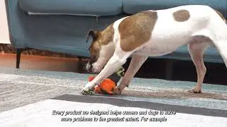 Pet supplies factory  dogs product manufacturer dog toys cat toy Pets products manufacturers JL12136