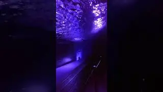 サンシャインシティ水族館③