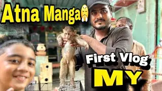 Az Pet House Its My First vlog