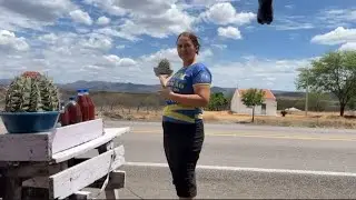 No meu dia a dia, decidi contar um pouco sobre minha infância 