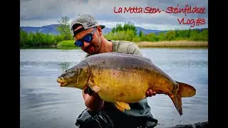 VLog #3 - Angeln auf Karpfen und Hecht am Steinfeldsee / La Motta Seen