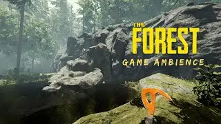 The Forest Gaming Ambience - Part 1