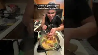 Esta es la comida perfecta para gatos #cocina #comidafacil #comida #recetas