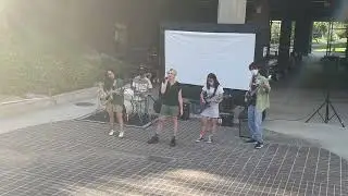 Bugbear - Chloe Moriondo and Confusing Girl - grentperez cover (Desert Apes Band Cover) (Live)
