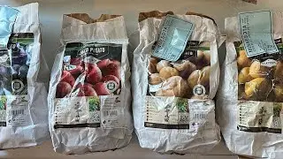 S06E06 Got Seed Potatoes 🥔?  Shop around!  My local Tractor Supply has them @ a good price.😎