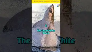 Top 5 Most Dangerous and Deadliest Fish in the World 🐋