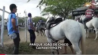 VAQUEJADA DE CACHOEIRINHA 2014
