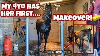 4YO HORSE’S FIRST MAKEOVER! - Mary gets her first bath & clip…