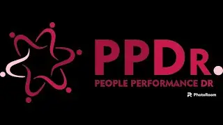 How can I use the capability framework from The People Performance Dr