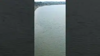 Bhima River Maharashtra #whatsapp  #shorts #whatsapp #reels #indian #trendingshorts #youtubeshort