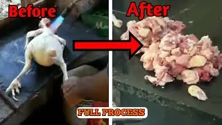 Amazing Big Chicken🐔 Cutting Skills In Chicken Shop | Live Chicken Cutting skill | FULL PROCESS ||